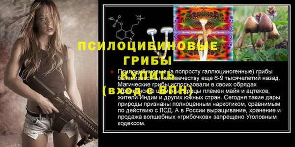 экстази Богородицк