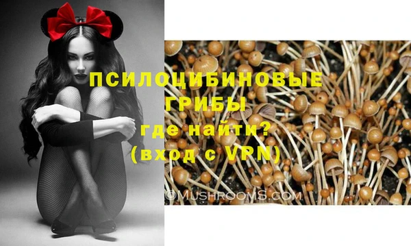 экстази Богородицк