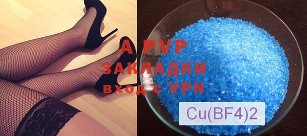 спиды Богданович