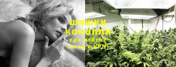 спиды Богданович
