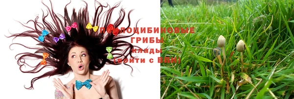 экстази Богородицк