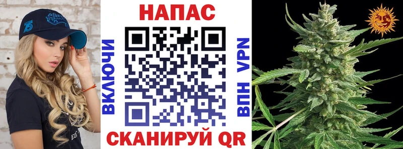 ссылка на мегу tor  цена наркотик  Котельники  Шишки марихуана тримм 